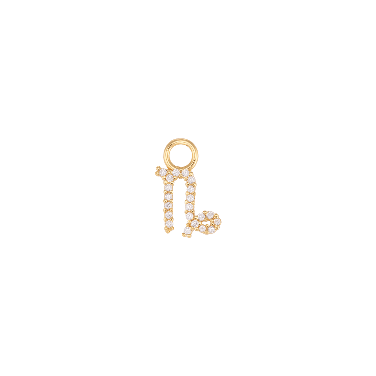 Capricorno Charm